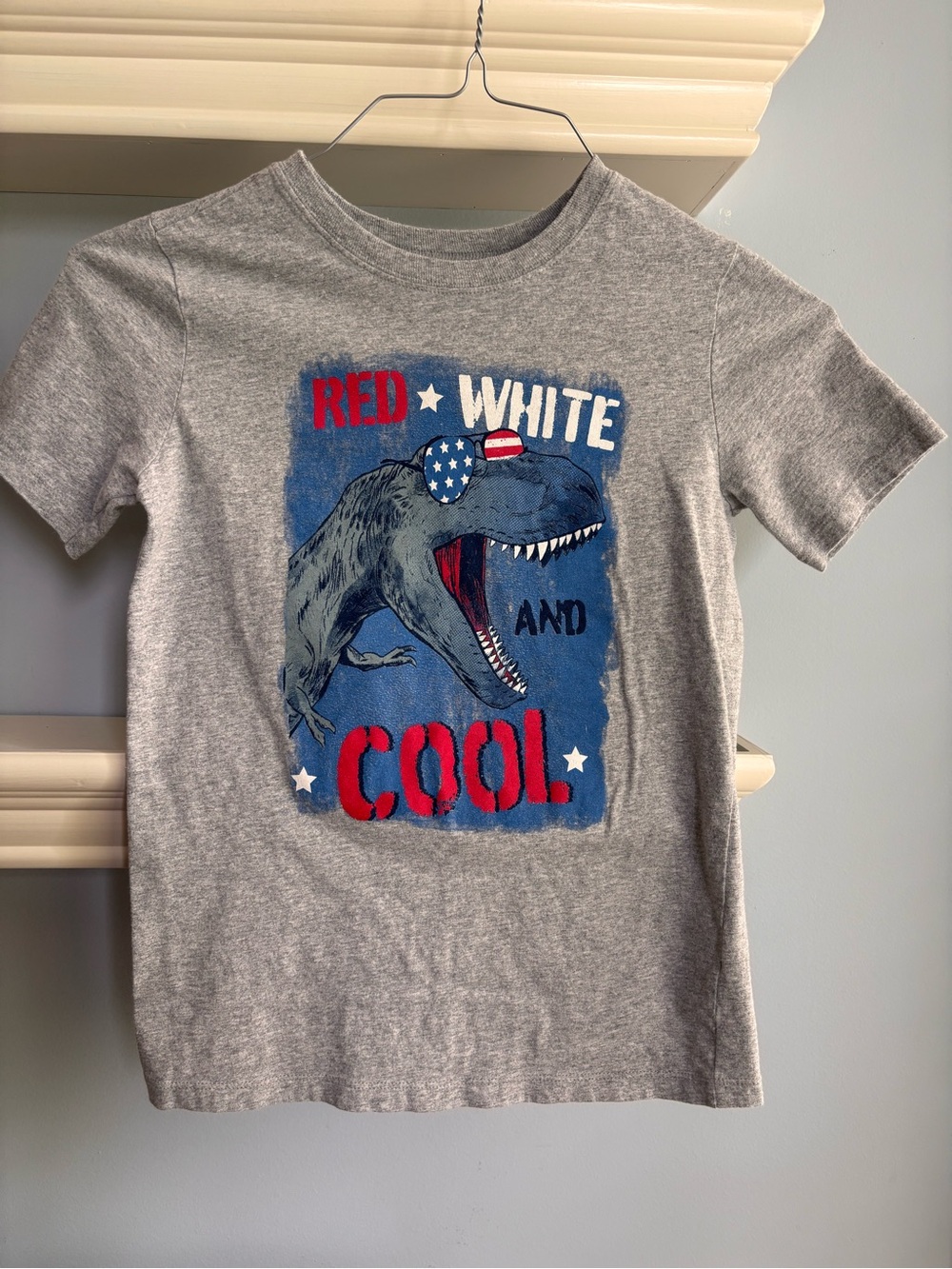 Carter's Boys Dino Graphic Tank & Tee Set - Blue & Gray - Picture 5 of 8